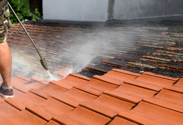  Mertzon, TX Pressure Washing Pros
