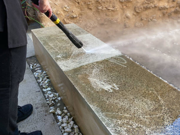 Best Best Pressure Washing Companies  in Mertzon, TX
